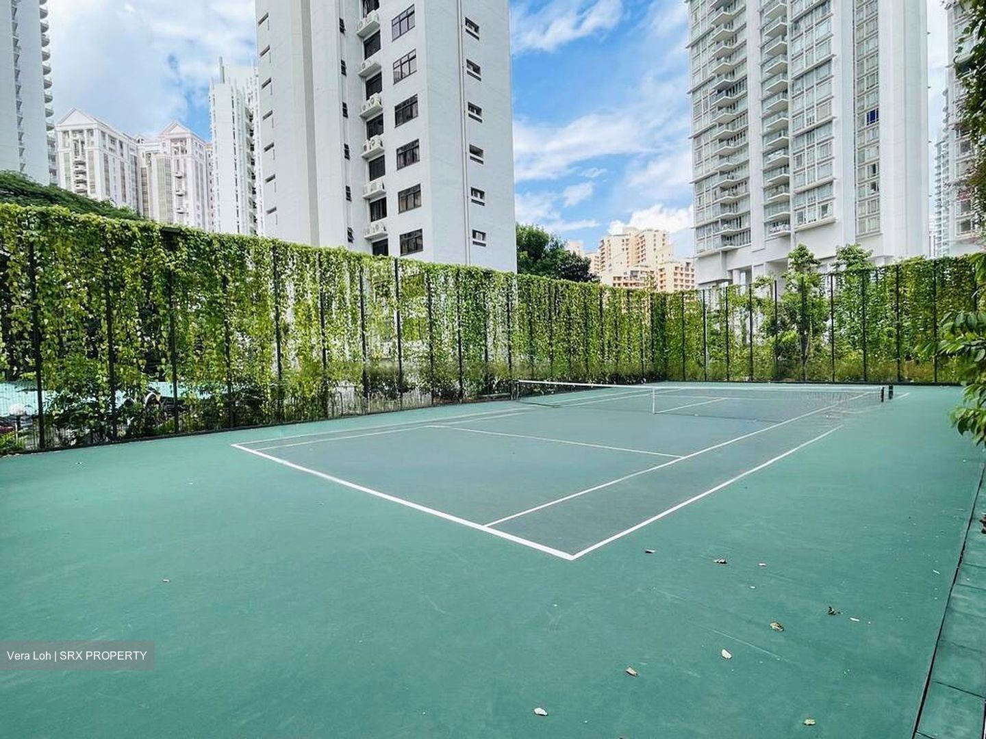 Irwell Hill Residences (D9), Apartment #543515891
